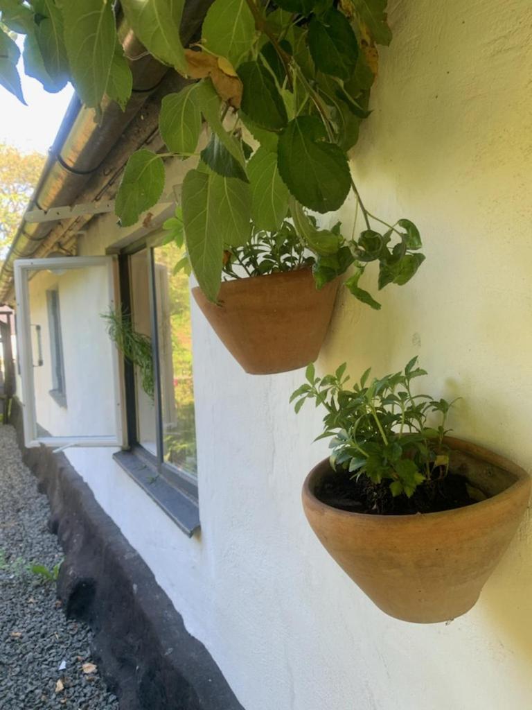 Millans Dockhus Villa Onslunda Exterior foto